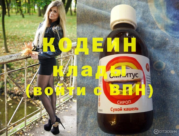 тгк Гусев
