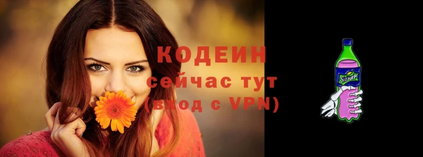 тгк Гусев