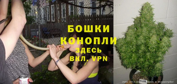 молекула духа Гусь-Хрустальный