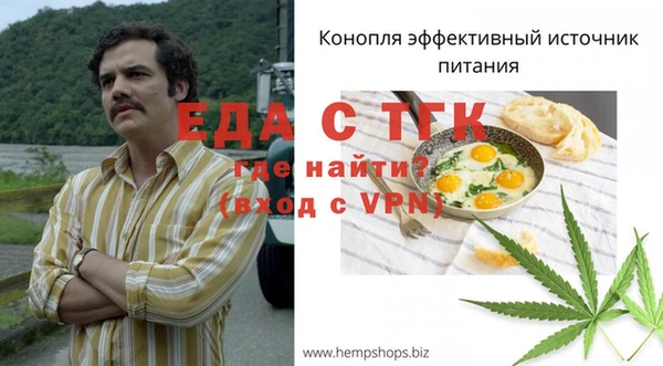тгк Гусев