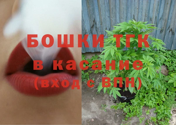тгк Гусев