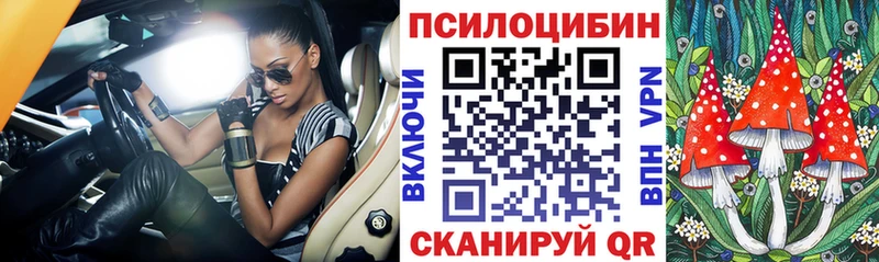 Галлюциногенные грибы Psilocybine cubensis  Купить закладки  Фёдоровский 